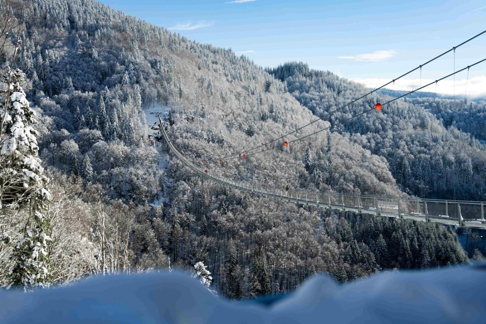 Black Forest Hotel Todtnau Luaran gambar