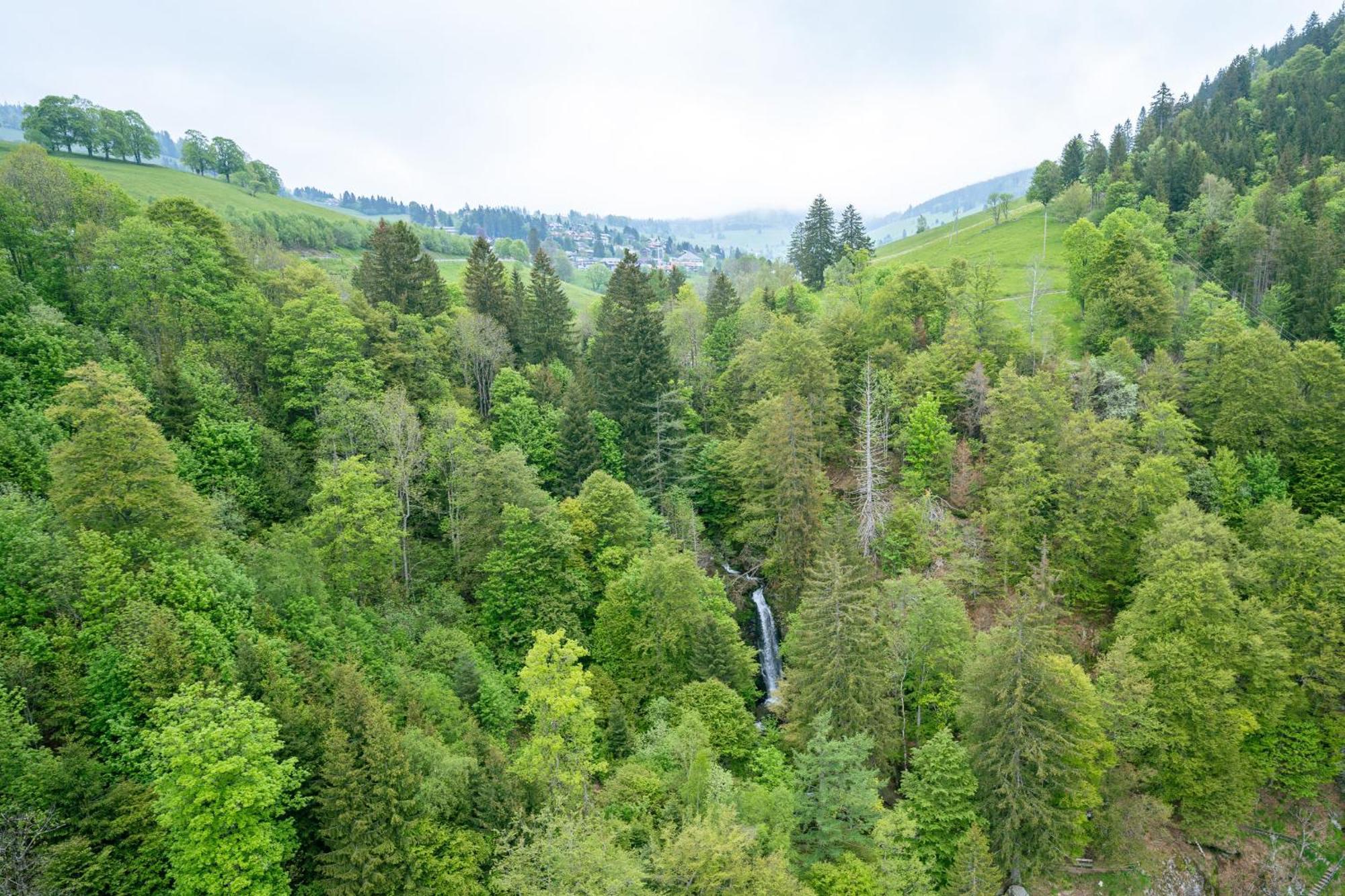 Black Forest Hotel Todtnau Luaran gambar